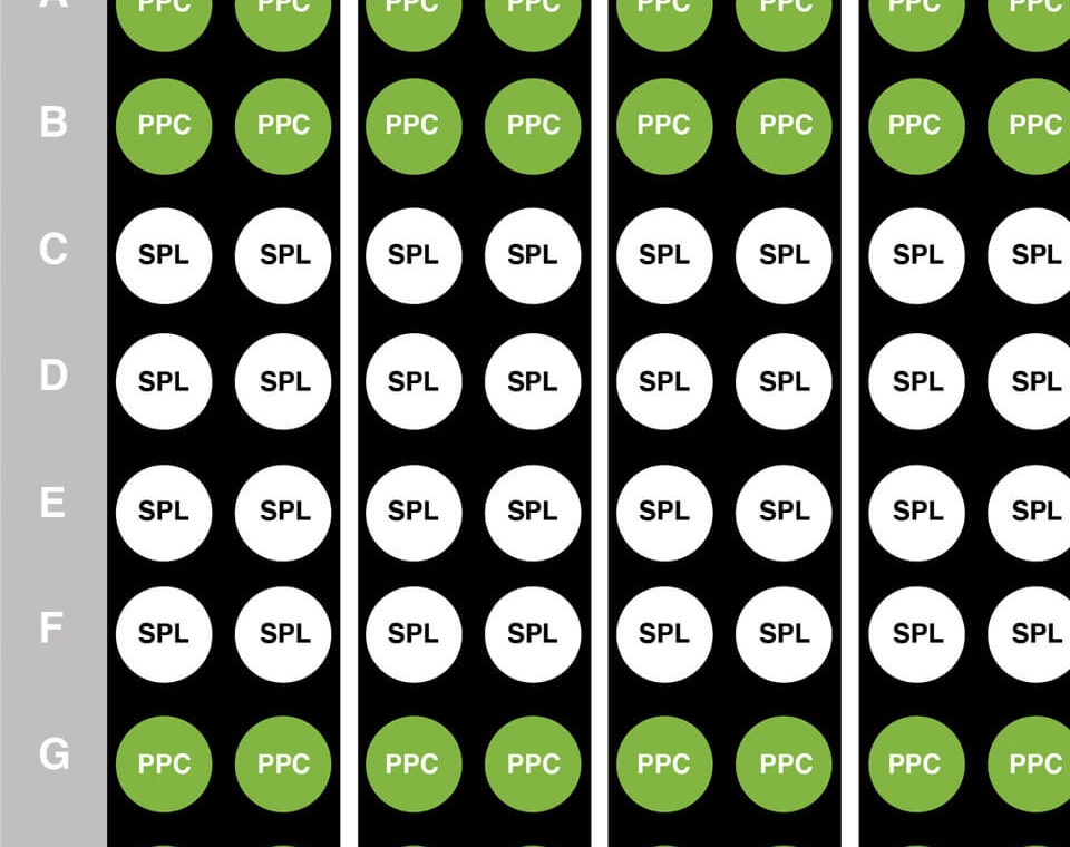 エンザイム　2つ エンザイム 2つ